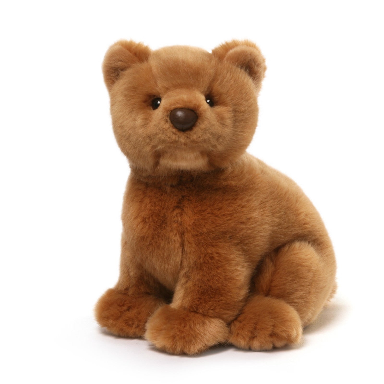 Teddy Bear PM S00 - Sport and Lifestyle