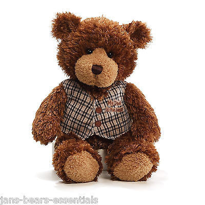 Gund - Raymond, Father's Day Bear - 12"